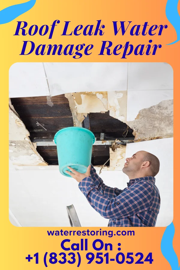 Roof Leak Water Damage Repair in Sierra Ridge, CO