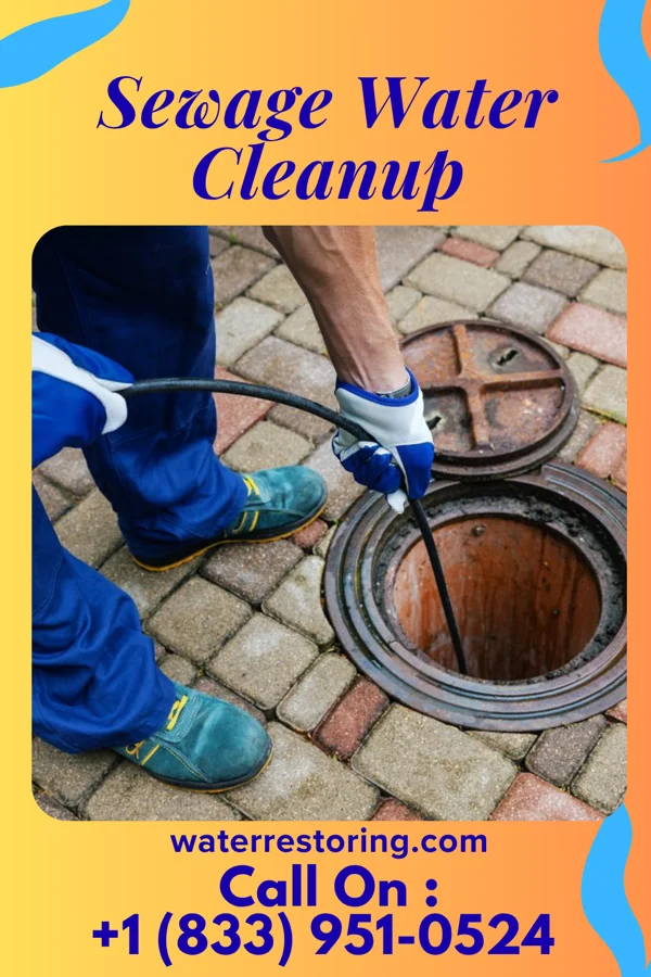 Sewage Water Cleanup in Sierra Ridge, CO